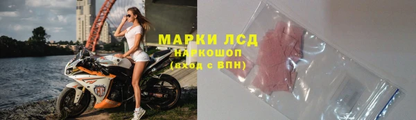 прущие грибы Армянск