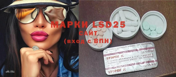 прущие грибы Армянск